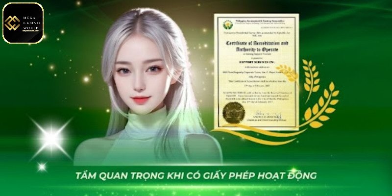 Giấy phép hoạt động MCW66 - Uy tín về chất lượng sân chơi 1 Tầm quan trọng của giấy phép hoạt động MCW66